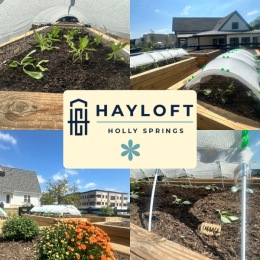 a plant garden