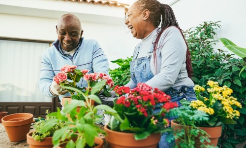 a couple gardening together